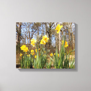 Daffodils no impressão das canvas da páscoa