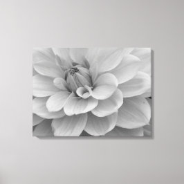 Dahlia Flower Canvas Print