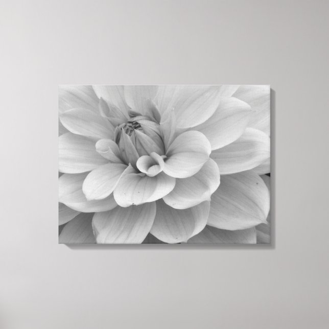 Dahlia Flower Canvas Print (Frente)