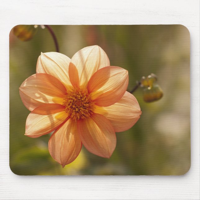 Dahlia Mousepad (Frente)
