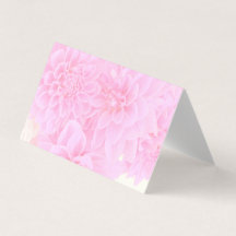 Dahlias Em Rosa Suave