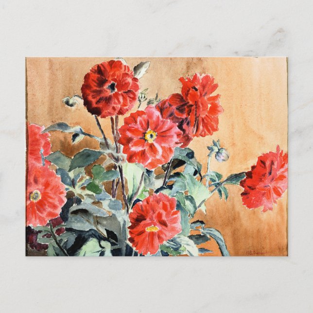 Dahlias, pintura em aquarela botânica cartão posta (Frente)