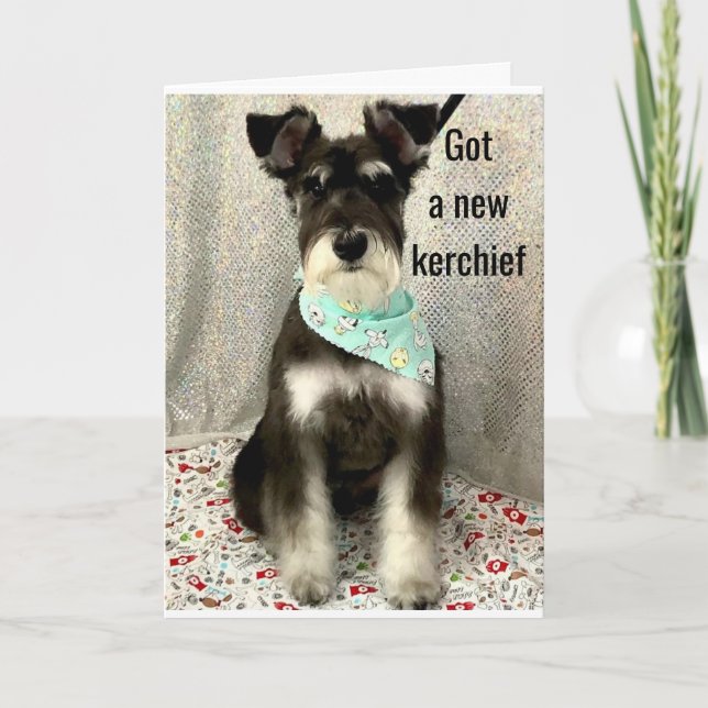 * DAISES E FELICIDADE O DIA INTEIRO* ** CARTÃO DE  (Frente)