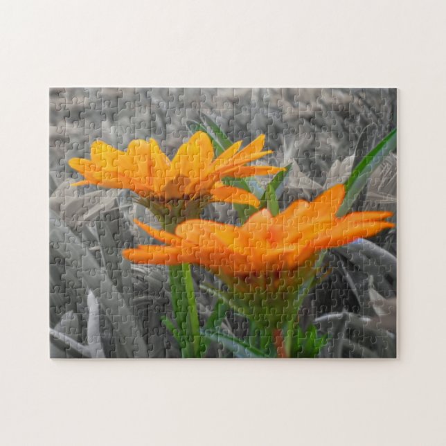 Daisies Quebra-cabeça (Horizontal)