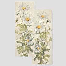 Daisy April Birth Month Flower