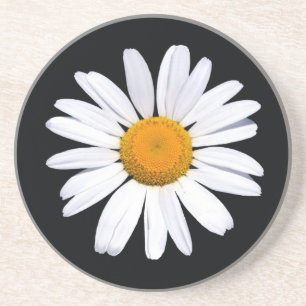 Daisy Black porta copos