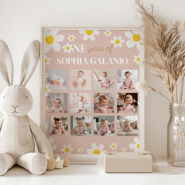 Daisy Bloom Foto do Primeiro Ano Poster (Criador carregado)