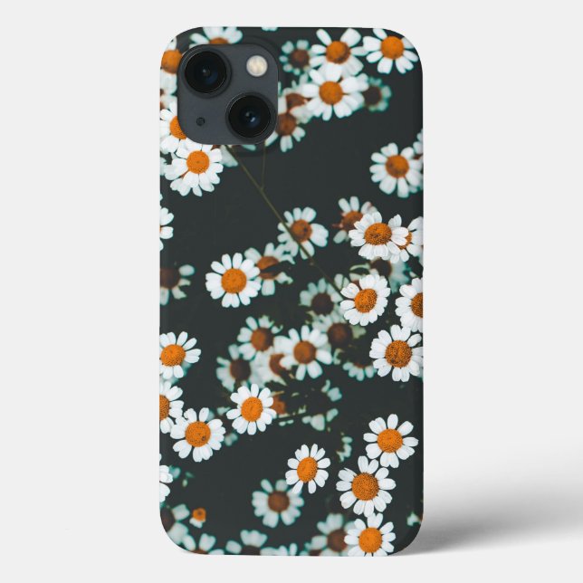 Daisy Daisies Floral (Verso)