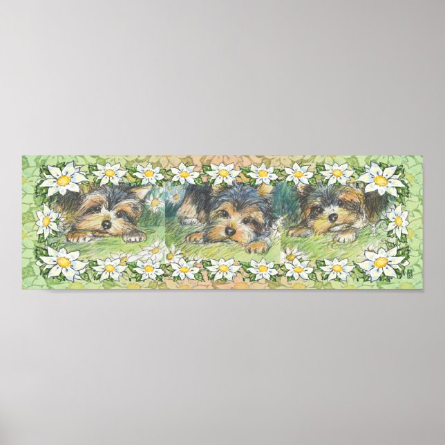 Daisy Dogs Yorkie Poster (Frente)