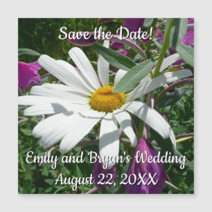 Daisy e Fireweed