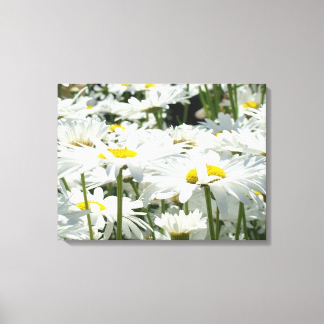 Daisy Flowers Canvas de arte decorativa Fotografia (Frente)