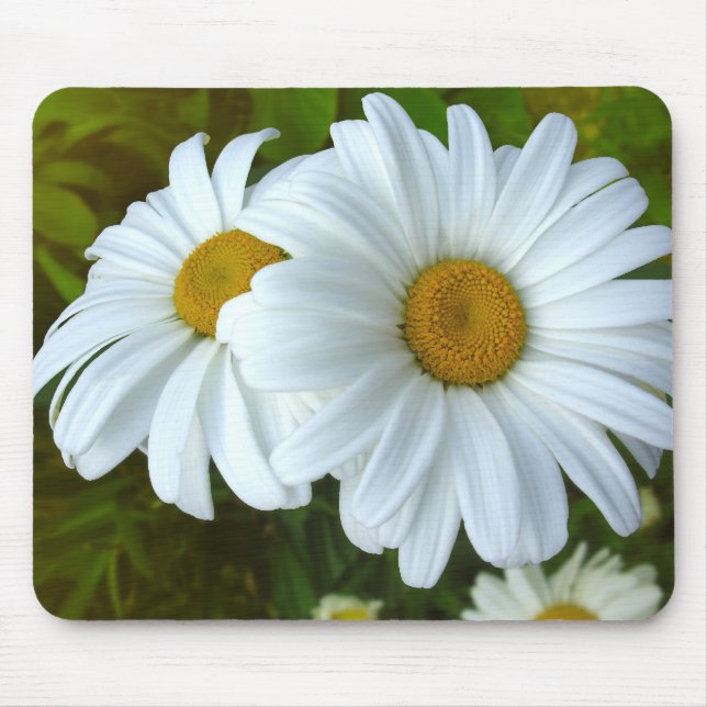 Daisy Flowers Mousepad Daisy Computer Gifts (Frente)
