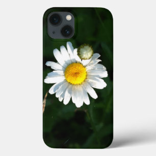 Daisy iPhone 6/6, Tough Xtreme