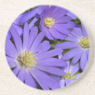 Daisy Porta copos Wildflower Purple Daisy Decor