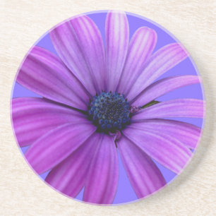 Daisy Porta copos Wildflower Purple Daisy Decor