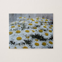 Daisy Quebra-cabeça