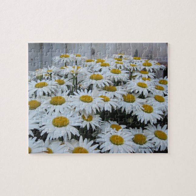 Daisy Quebra-cabeça (Horizontal)