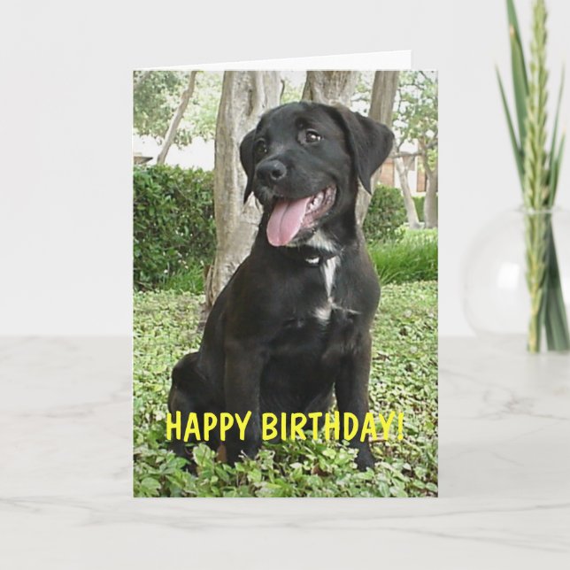 Dakota - Feliz Cartão de Aniversário (Frente)