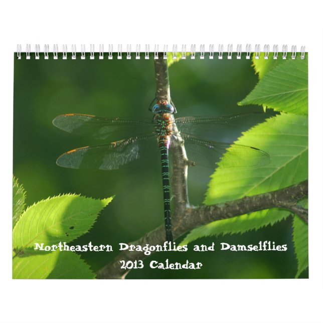 Damselflies do Nordeste Calendário de 2013 (Capa)