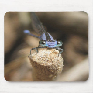 Damselfly querido (1) Mousepad