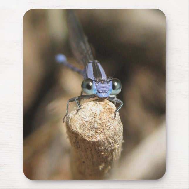 Damselfly querido (1) Mousepad (Frente)