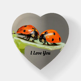 Damybugs Heart Shaped Paperweight