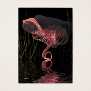 Dança da meia-noite do flamingo cor-de-rosa -