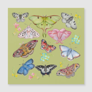 Dança de Borboleta com Aquarela Suave