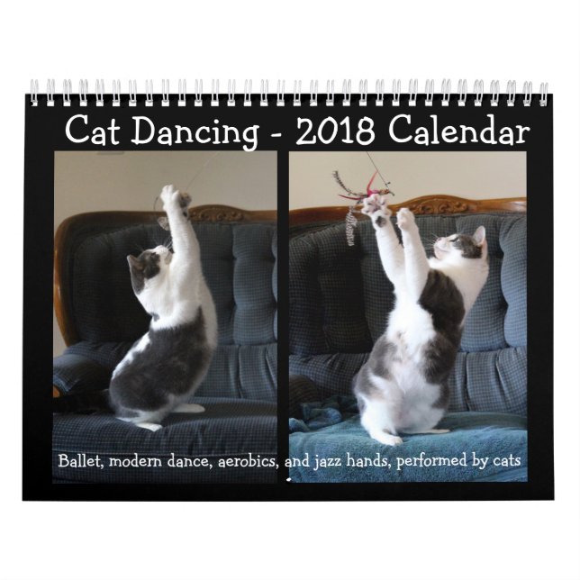 Dança do gato - calendário 2018 (Capa)