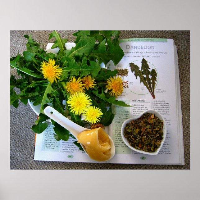 DANDELIÕES PARA A SAÚDE ~ Poster (Frente)