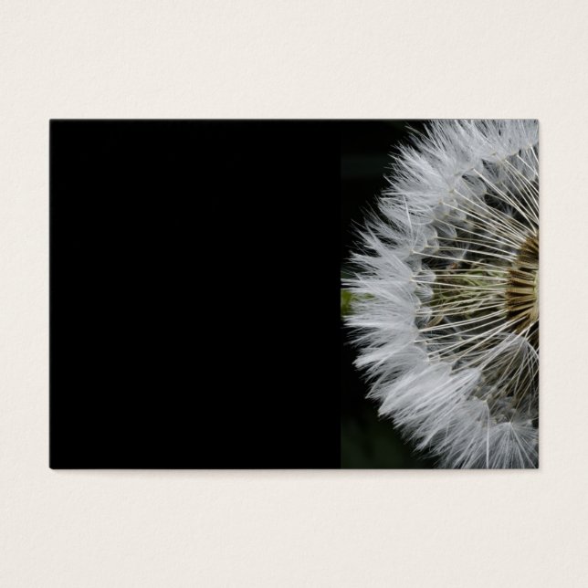 Dandelion (Frente)