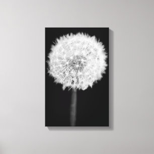 Dandelion Canvas