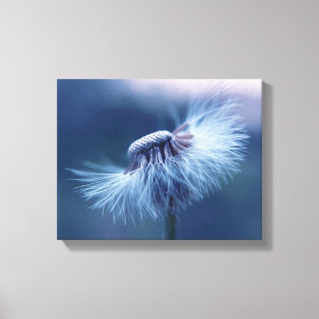 Dandelion Canvas Art (Frente)