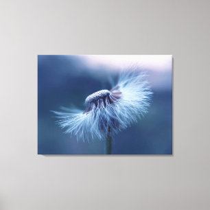 Dandelion Canvas Art
