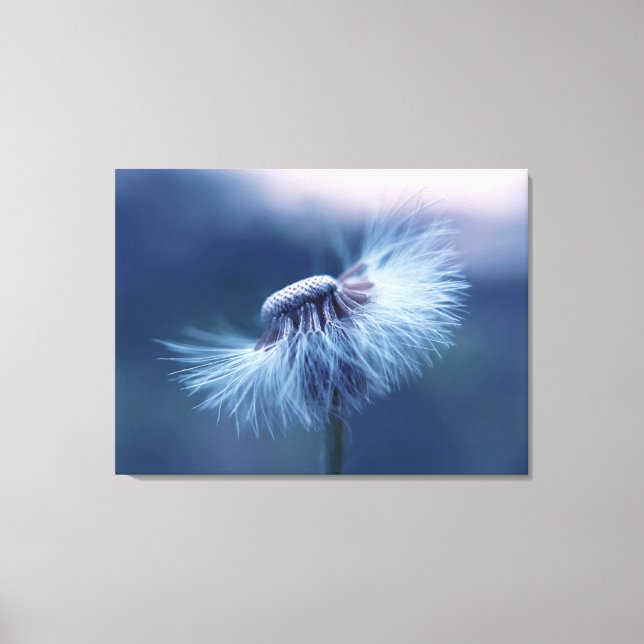 Dandelion Canvas Art (Frente)