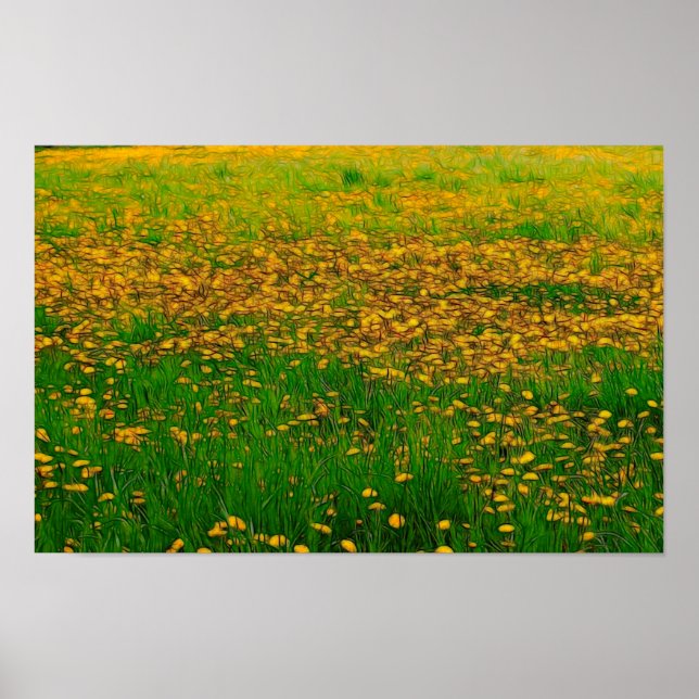 Dandelion Field Poster (Frente)
