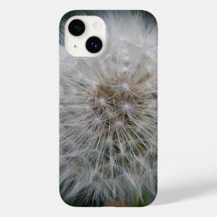 Dandelion Flor
