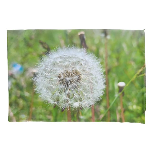 Dandelion Perfeito – Fotografia Macro Botânica (Frente)
