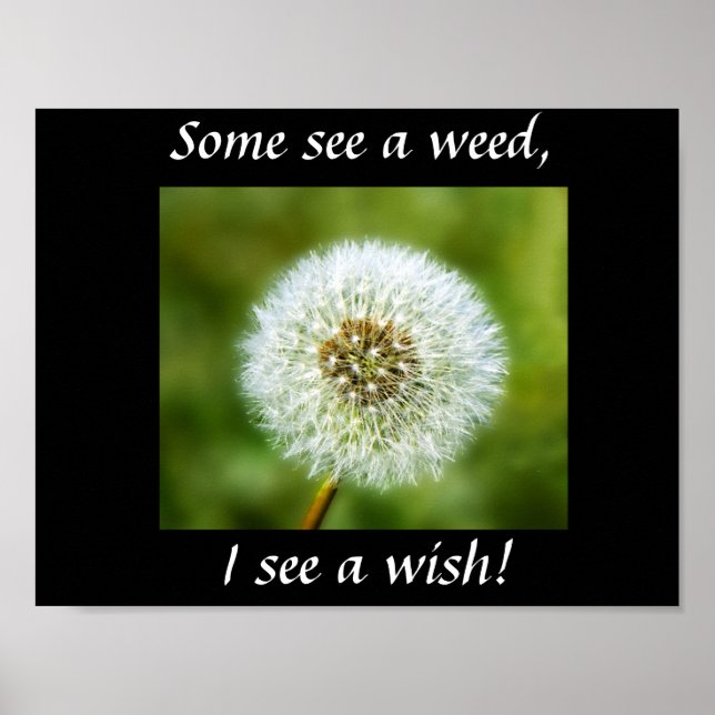 Dandelion Poster - Alguns veem uma erva daninha, e (Frente)