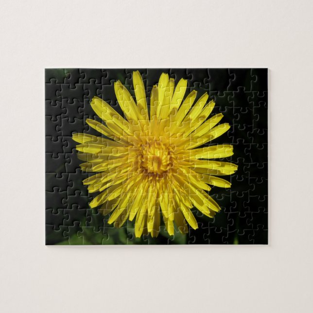 Dandelion Quebra-cabeça (Horizontal)