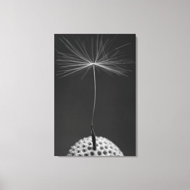 Dandelion Seed Photo on Canvas (Frente)