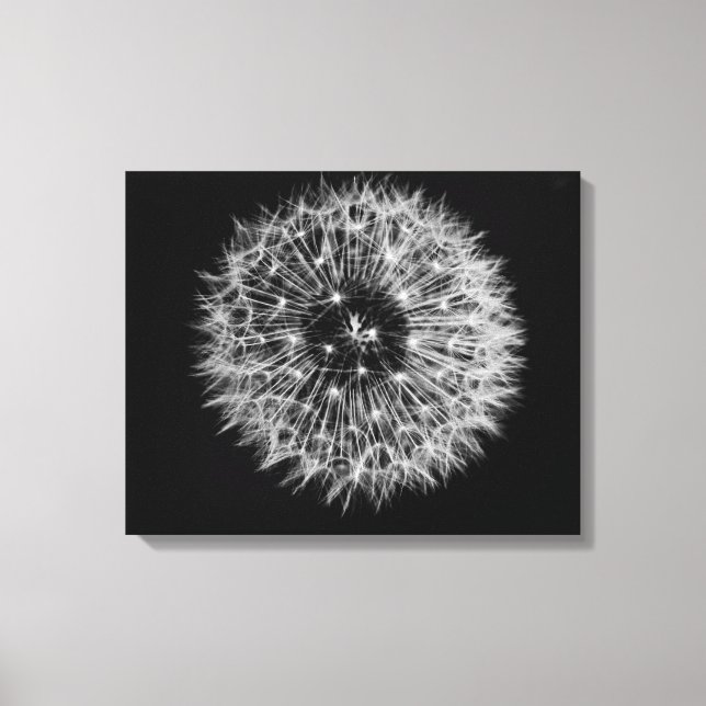 Dandelion Stretch Canvas Print (Frente)