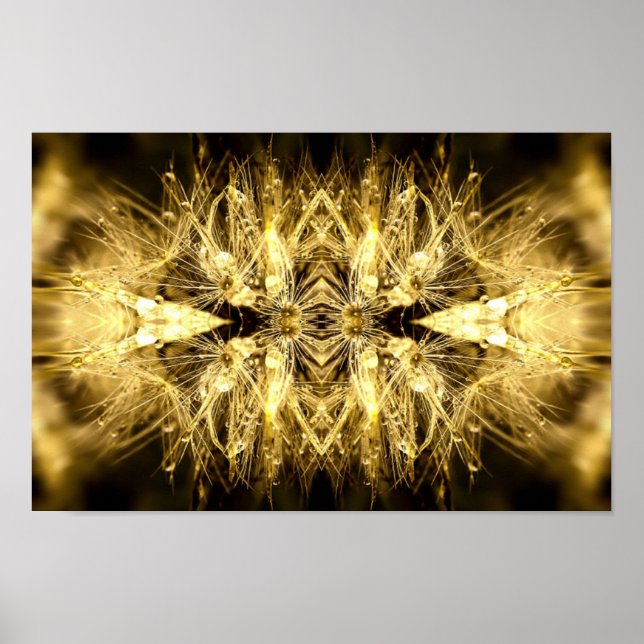 dandiana Poster (Frente)