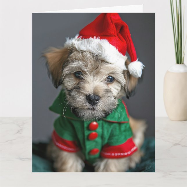 Dandie Dinmont Terrier Elf Puppy Cartão De Natal (Frente)