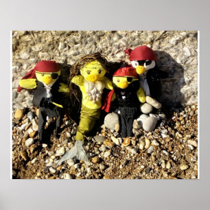 Danni, a Sereia e o Poster Pirates