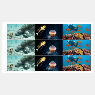 Danni a Sereia e seus amigos  Etiquetas