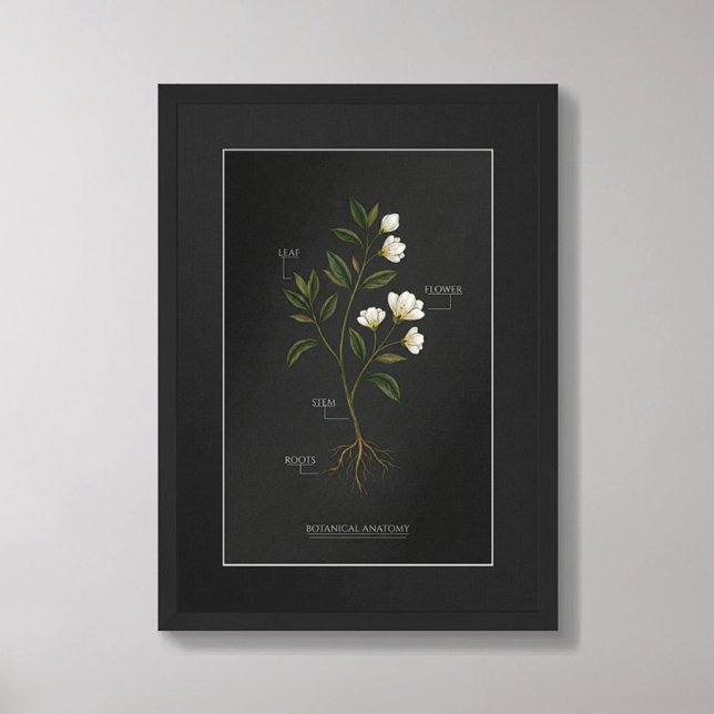 Dark Academia Botanical Anatomy Poster (Criador carregado)