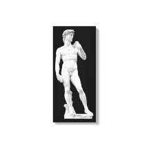 David por Michelangelo Canvas