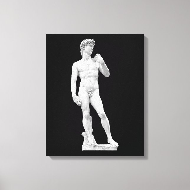 David por Michelangelo Canvas (Frente)