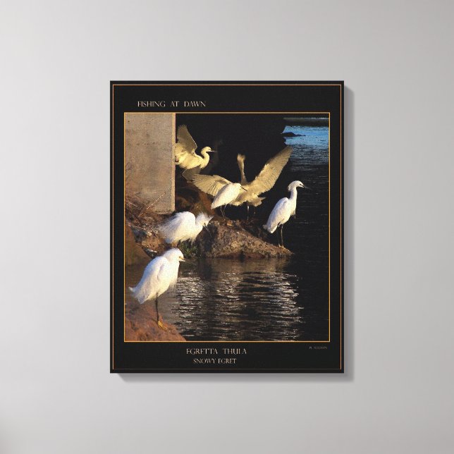 Dawn Snowy Egrets Canvas (Frente)